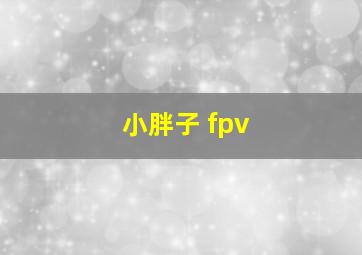 小胖子 fpv